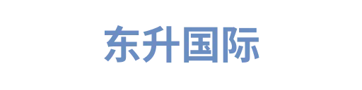 东升国际